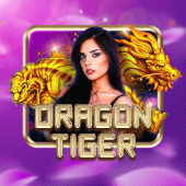 Dragon Tiger live casino at PK7 Login Register